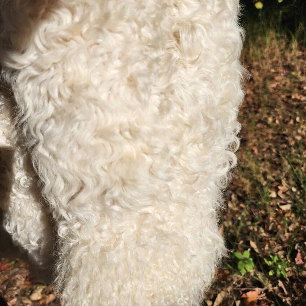 Vintage Genuine Shearling Mongolian Lamb Fur Shag Curly Ivory Long Coat 70's - Picture 7 of 16